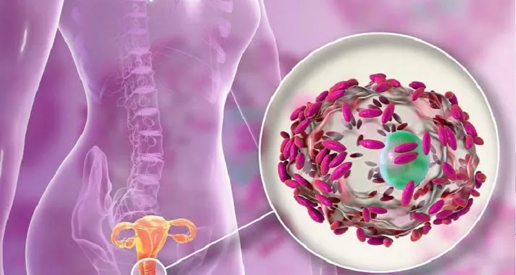 Vajinal Enfeksiyonlar Nasıl Engellenir